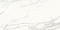 Calacatta Superb белый 60x120 полир.
