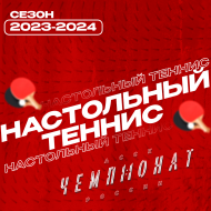 Чемпионат АССК России|ООВО Сезон 2023-2024 по настольному теннису среди женщин| Бончевские тигры
