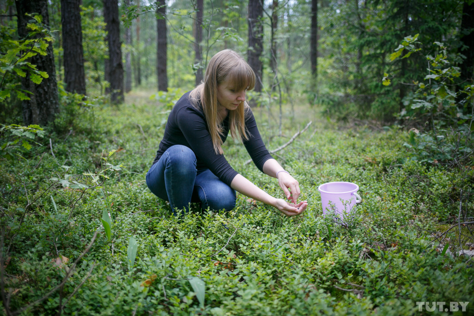 Девочка в лесу собирала грибы. Сбор ягод в лесу. Девушка в лесу собирает Яноду. Собирать ягоды в лесу. Девушка собирает ягоды в лесу.