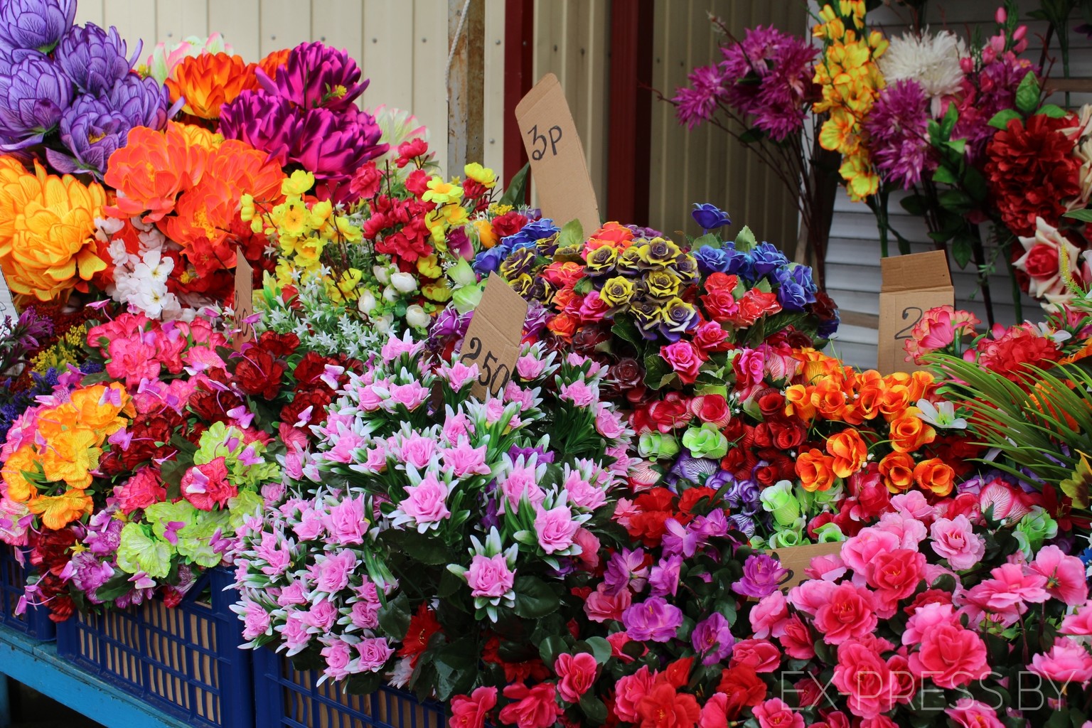 Купить цветы неживые базы цветов в москве по низким ценам