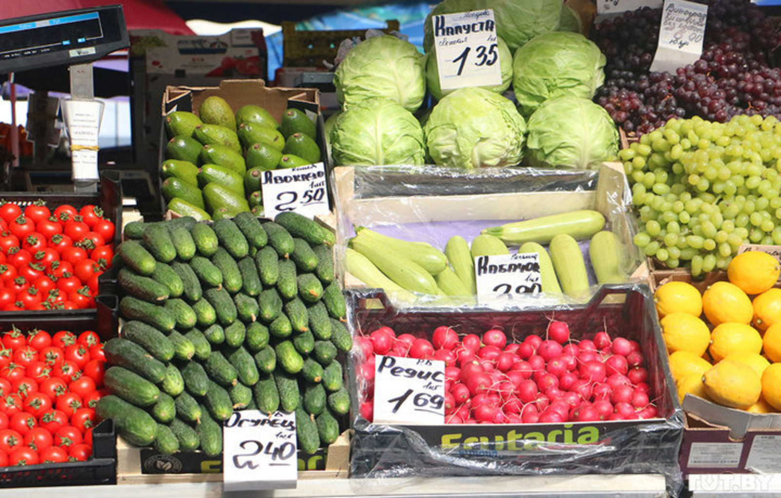 Цены на овощи 2024. Овощи на белорусском. Продукты рынках Беларуси. Белорусские товары овощи. Овощи и фрукты в магазине Беларусь.