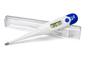 цена Амрос Термометр AMDT-11 медицинский цифровой