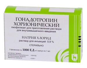 цена Гонадотропин хорионический Лиофилизат для приготовления раствора для внутримышечного введения 1000ЕД 5 шт