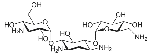 Формула действующего вещества Канамицин*