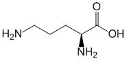 Формула действующего вещества Орнитин*