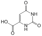 Формула действующего вещества Оротовая кислота*
