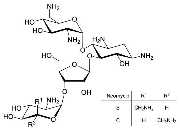 Формула действующего вещества Неомицин*