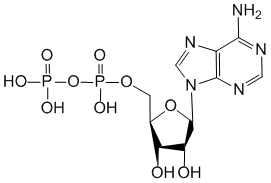Формула действующего вещества Аденозина фосфат*