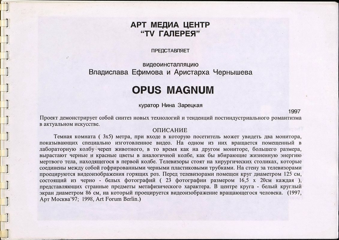 Проект выставки Владислава Ефимова и Аристарха Чернышёва «Opus Magnum»