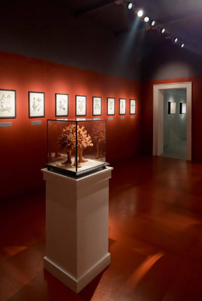 Выставка «Кунсткамера Яна Шванкмайера» в Центре современной культуры «Гараж». Виды экспозиции