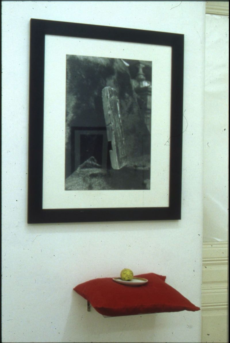 Инспекция «Медицинская герменевтика. Инсталляция «Янтарная палата» (фрагмент). Galerie Grita Insam, 1992