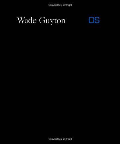 Wade Guyton: OS