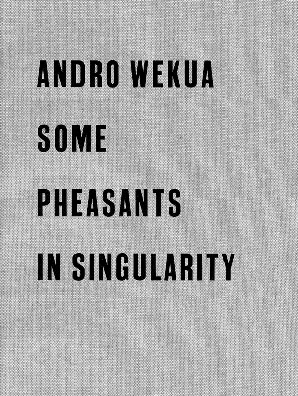 Andro Wekua: Some Pheasants in Singularity