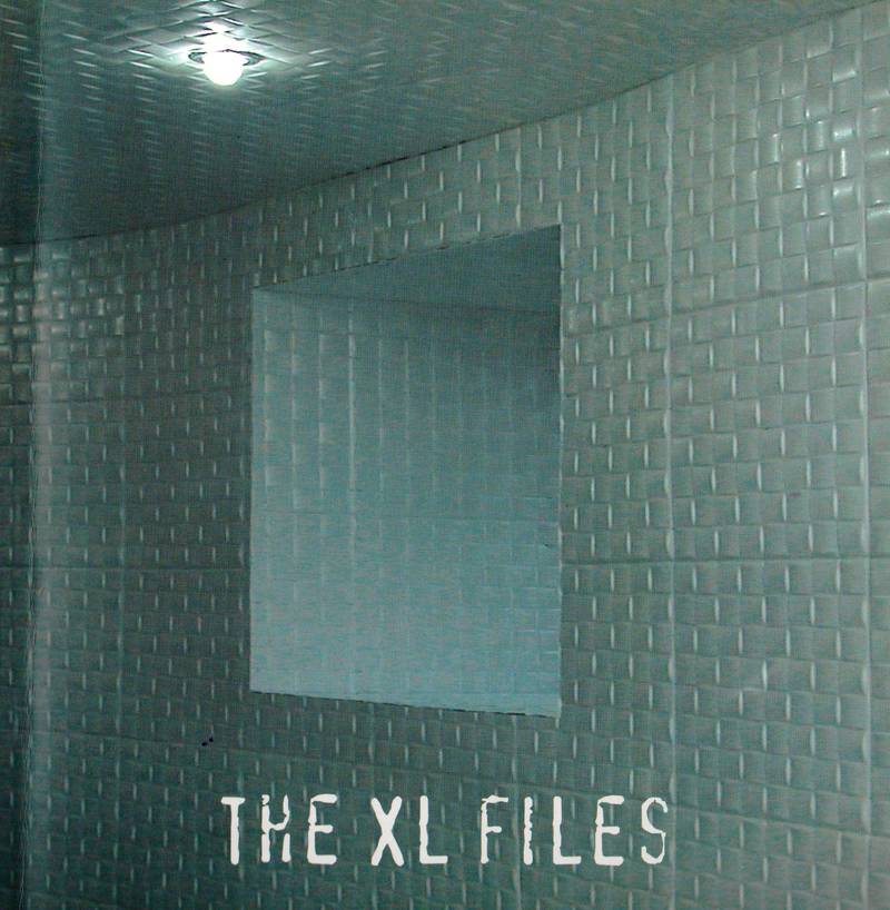 The XL Files: каталог первых 15 лет деятельности XL Галереи 1993–2008/ Catalogue of the First 15 Years of XL Gallery 1993–2008