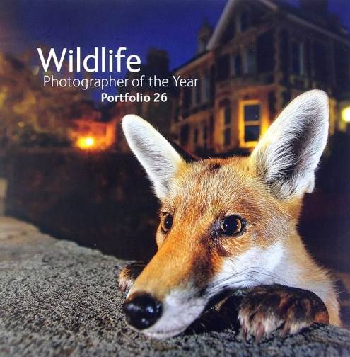 Wildlife. Photographer of the Year: Portfolio 26
