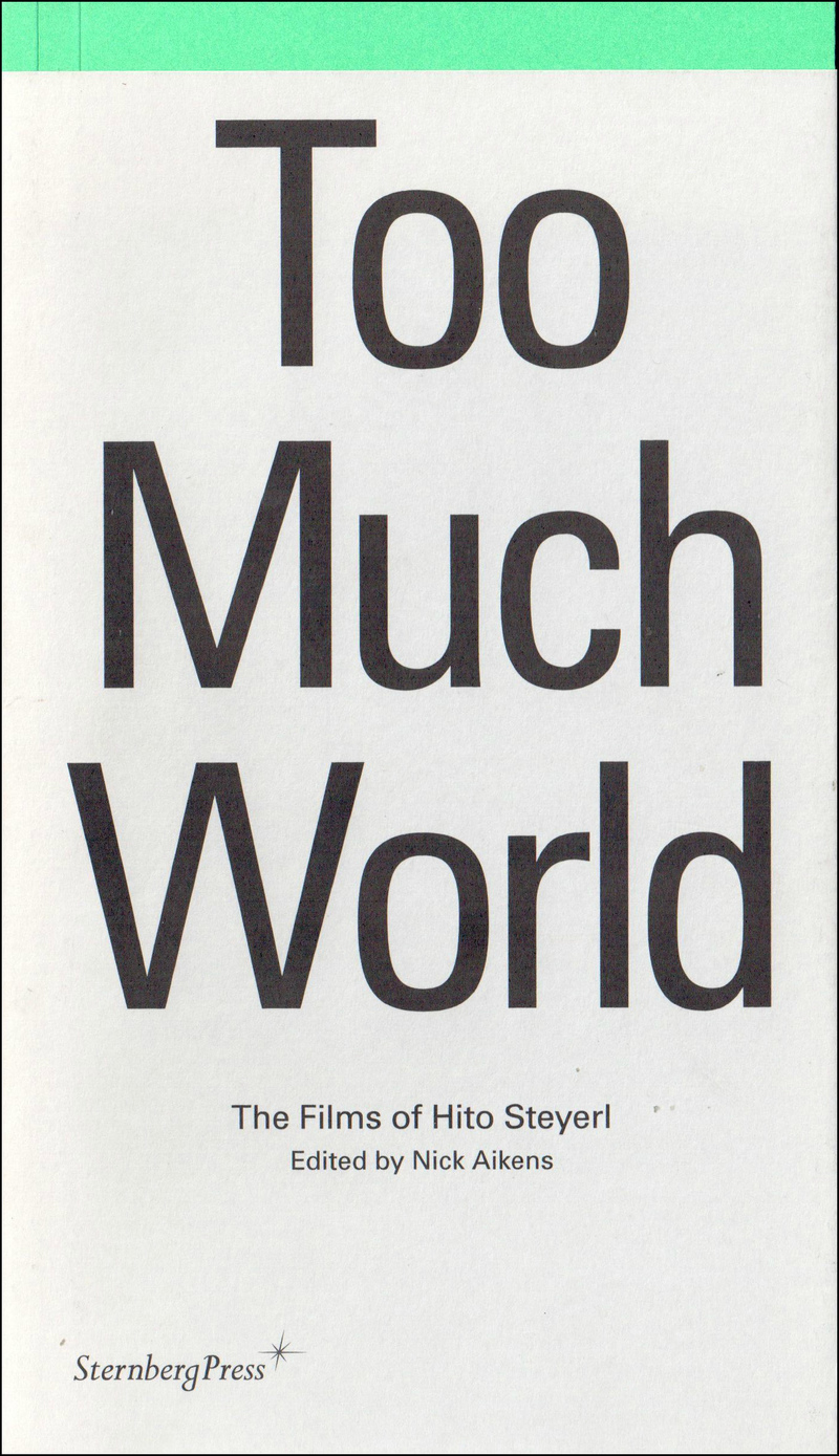 Too Much World. The Films of Hito Steyerl