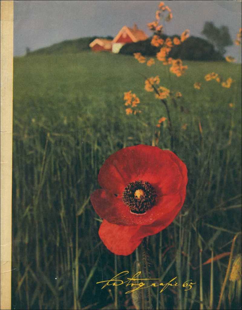 Revue Fotografie. — 1965, № 2