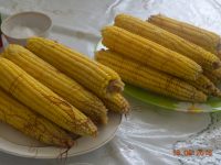 Урожай кукурузы