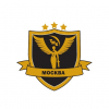 Лого команды ТМК Москва