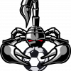 Лого команды Black Scorpions