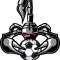 Лого команды ФШ Профи 2014/2015