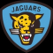 Лого команды Jaguar