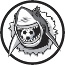 Лого команды Sharks