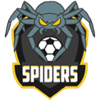 Лого команды Spiders