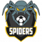 Лого команды Spiders