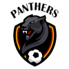 Лого команды Panthers