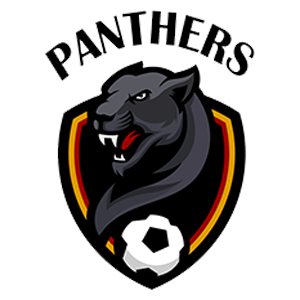 Лого команды Panthers