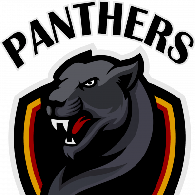 Лого команды Пантеры