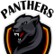 Лого команды Пантеры