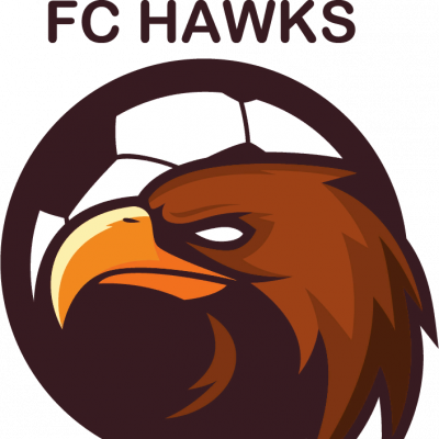 Лого команды  Hawks