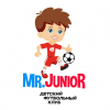 Лого команды MR. JUNIOR (2015)