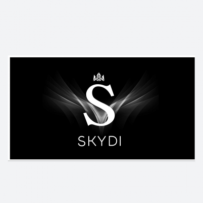 Лого команды Skydi