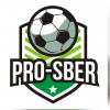 Лого команды PRO-SBER