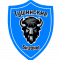 Лого команды Тушинские Бизоны