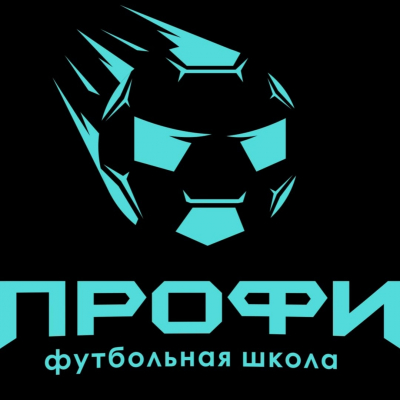 Лого команды ФШ Профи 2013