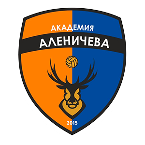 Лого команды Академия Аленичева (2012)