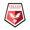 Лого команды Falcon