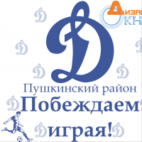 Динамо Пушкино 2008/2009 г.р.
