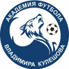 Академия Кулешова (2009-2010)