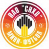 Лого команды СНХП