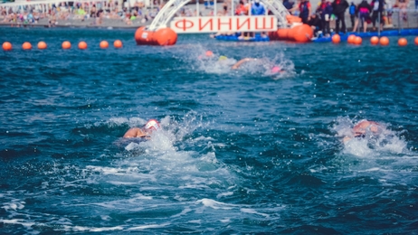 Чемпионат России по плаванию на открытой воде 2022