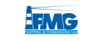 Логотип команды FMG