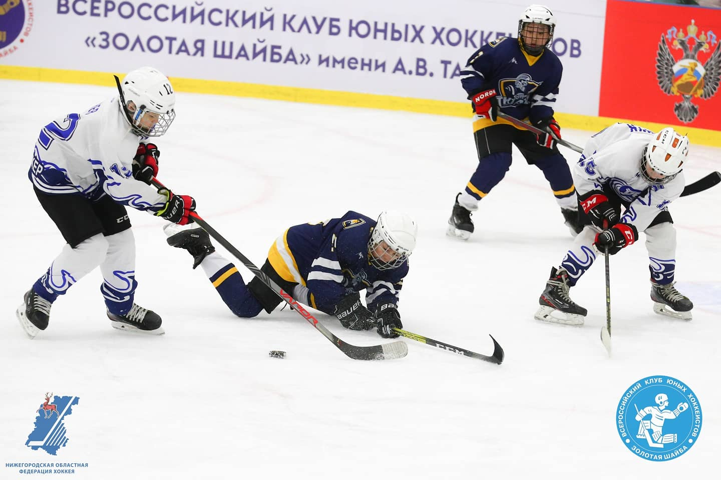 Хоккей золотая шайба нижний новгород 2024