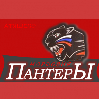 Атяшево-03 Пантеры