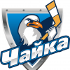 ЧАЙКА  2007-2008