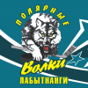 Полярные волки 2003-2004 г.р.